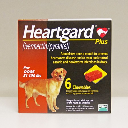 Hookworms in Dogs  HEARTGARD® Plus (ivermectin/pyrantel)